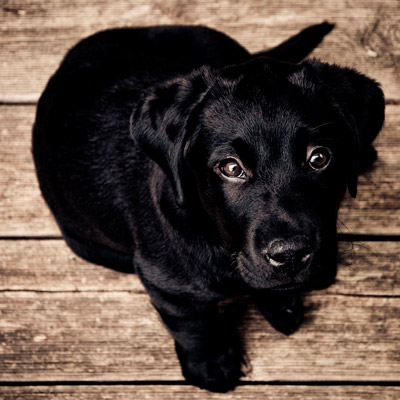 手机号外呼系统