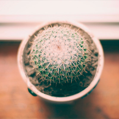 官方下载地址的免费轰炸电话软件下载