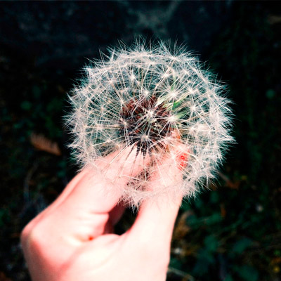 在线短信轰炸机网页版